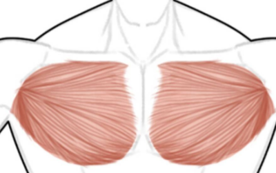 胸大肌I级损伤的5种简单物理治疗