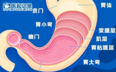 缓解胃胀气的6种方法