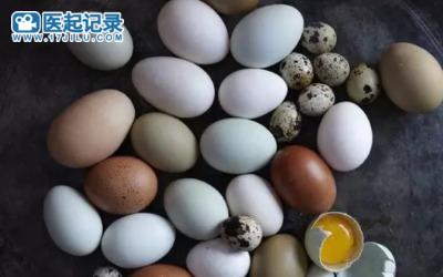 不同蛋的区分在哪里你知道吗？