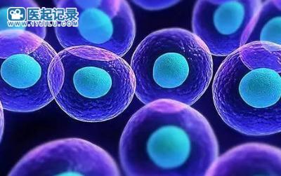 治疗EGFR Exon20ins突变非小细胞肺癌药物舒沃哲/舒沃替尼在中国获批
